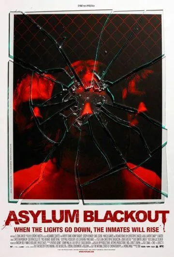 Постер: Инцидент / Asylum Blackout (2011)