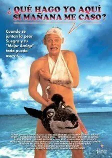 Постер: Особенности холостяцкой вечеринки / Staggered (1994)