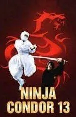 Постер: Ниндзя-стервятник / Ninjas, Condors 13 (1987)