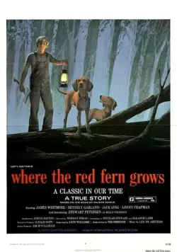 Постер: Цветок красного папоротника / Where the Red Fern Grows (1974)