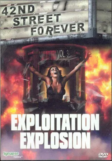Постер: 42-ая улица навсегда: Часть 3 / 42nd Street Forever, Volume 3: Exploitation Explosion (2008)