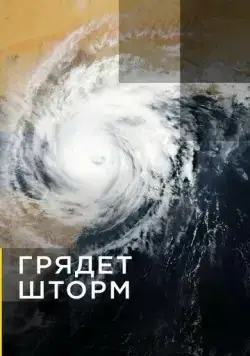Постер: Грядет шторм / Gathering Storm (2020)