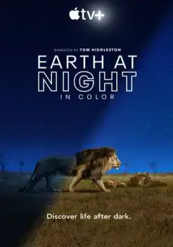 Постер: Земля ночью в цвете / Earth at Night in Color (2020)