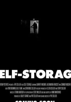 Постер: Камера хранения / Self-Storage (2019)
