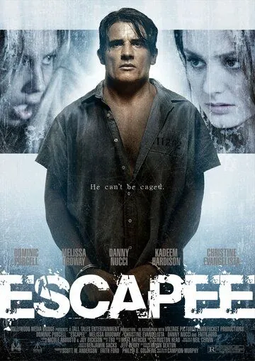 Постер: Беглец / Escapee (2011)