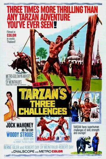 Постер: Три испытания Тарзана / Tarzan's Three Challenges (1963)