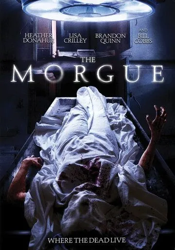 Постер: Морг / The Morgue (2008)