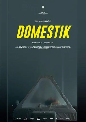 Постер: Домашний режим / Domestik (2018)
