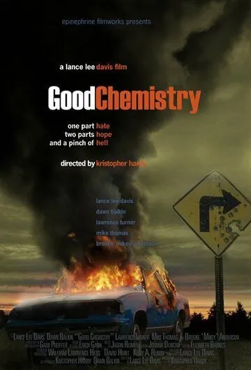 Постер: Хорошая химия / Good Chemistry (2008)