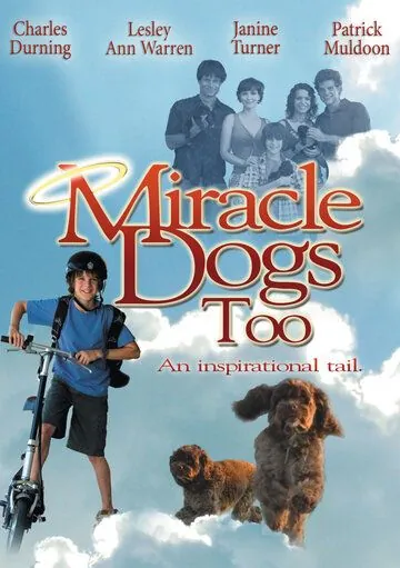 Постер: Зак и чудо-собаки / Miracle Dogs Too (2006)