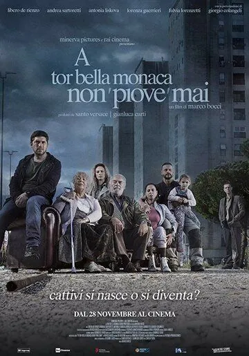 Постер: Этот безумный мир / A tor bella monaca non piove mai
