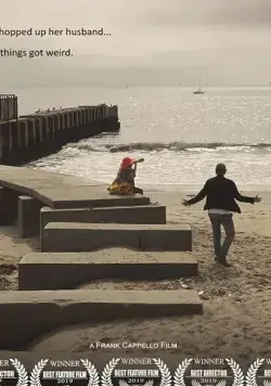 Постер: Стил и Вул / Steele Wool (2019)