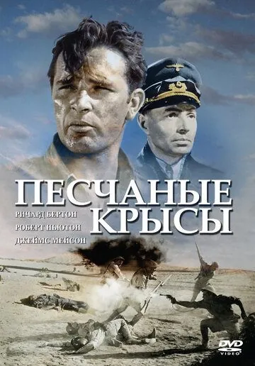 Постер: Крысы пустыни (1953)