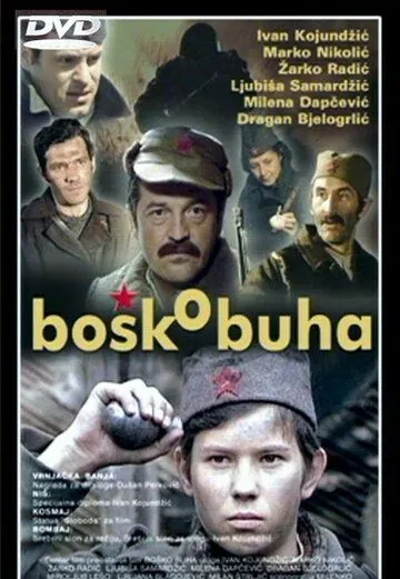Постер: Бошко Буха / Bosko Buha (1978)