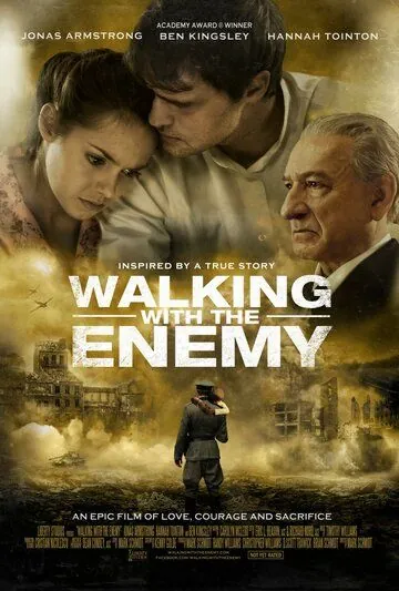 Постер: Стеклянный дом / Walking with the Enemy (2013)