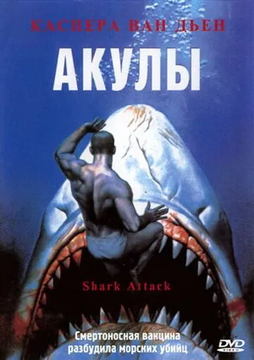 Постер: Акулы (1999)
