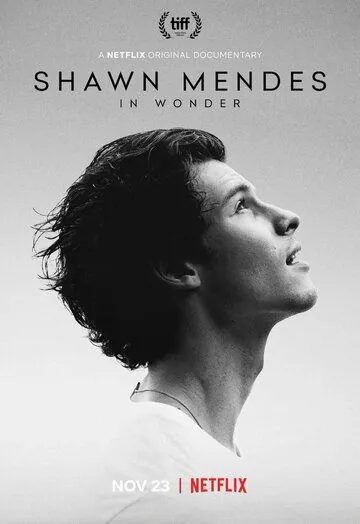 Постер: Шон Мендес: In Wonder / Shawn Mendes: In Wonder (2020)