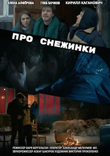 Постер: Про снежинки (2019)