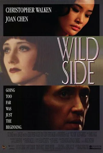 Постер: Безумие / Wild Side (1995)