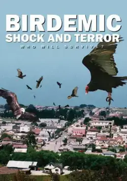 Постер: Птицекалипсис: Шок и трепет / Birdemic: Shock and Terror (2010)