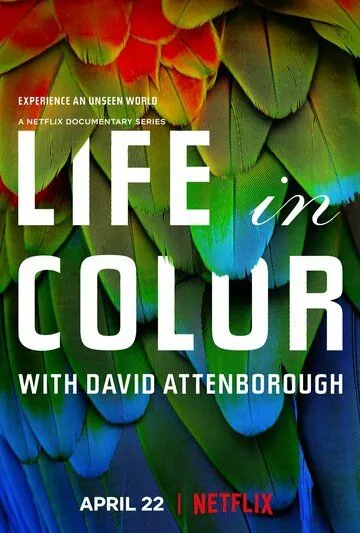 Постер: Жизнь в цвете с Дэвидом Аттенборо / Life in Colour (2021)