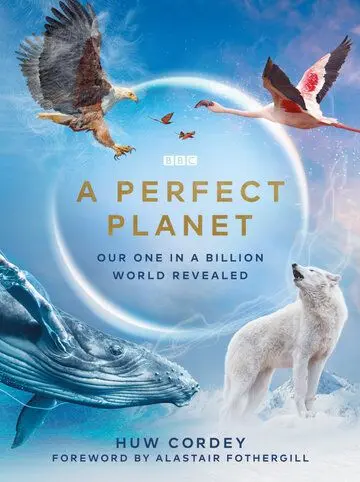 Постер: Идеальная планета / A Perfect Planet (2021)