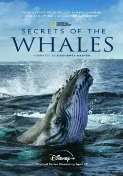 Постер: Тайны китов / Secrets of the Whales (2021)