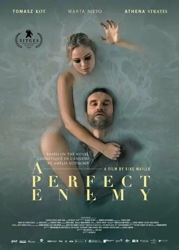 Постер: Идеальный враг / A Perfect Enemy (2020)