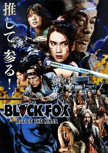 Постер: Чёрная лиса: Эпоха ниндзя / Black Fox: Age of the Ninja (2019)