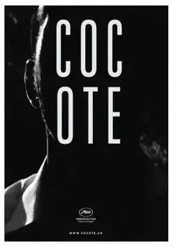 Постер: Кокоте / Cocote (2017)