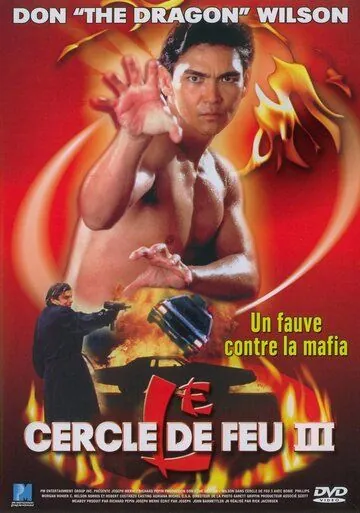 Постер: Огненное кольцо 3: Удар льва / Lion Strike (1994)