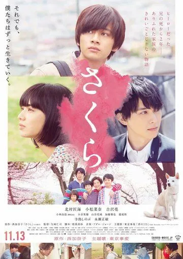 Постер: Сакура / Sakura (2020)