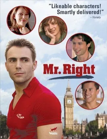 Постер: Мистер идеал / Mr. Right (2009)