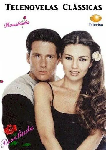 Постер: Розалинда / Rosalinda (1999)