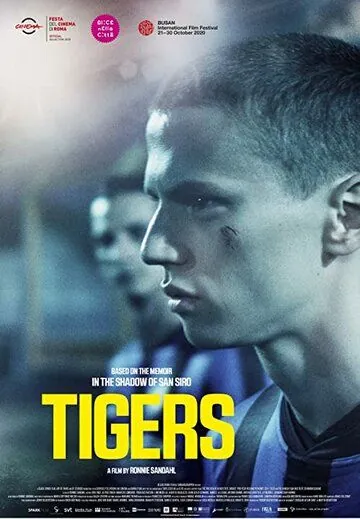 Постер: Тигры / Tigers (2021)