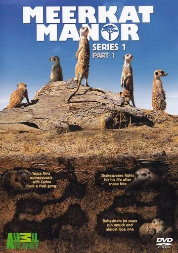 Постер: Поместье сурикат / Meerkat Manor (2005)