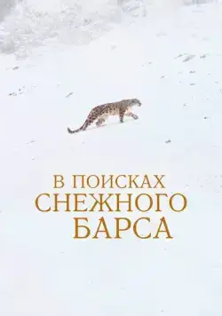 Постер: В поисках снежного барса / La panthère des neiges (2021)
