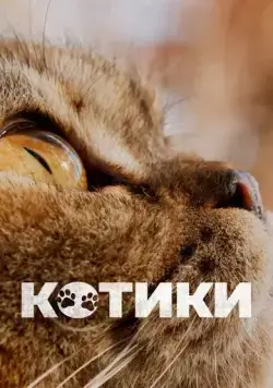 Постер: Котики (2022)