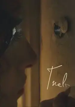 Постер: Гнев / The Anger (2021)