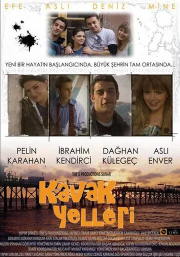 Постер: Ветры в голове / Kavak Yelleri (2007)