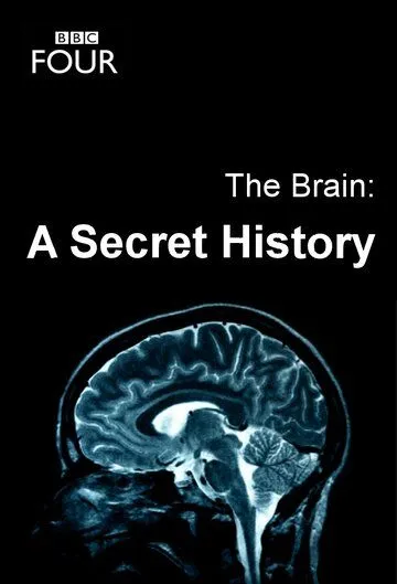 Постер: Мозг: Тайны сознания / The Brain: A Secret History (2011)