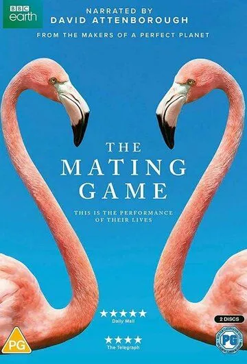 Постер: Брачная Игра / The Mating Game (2021)