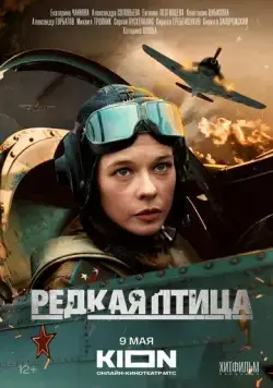 Постер: Редкая птица (2024)