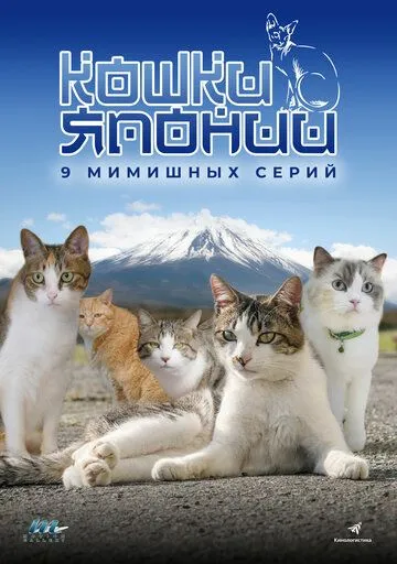 Постер: Кошки Японии / Cats of Japan (2017)