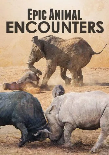 Постер: Невероятные встречи с животными / Epic Animal Encounters (2019)