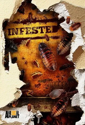 Постер: Вторжение паразитов / Infested! (2011)