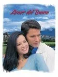 Постер: Любовь прекрасна / Amor del bueno (2004)