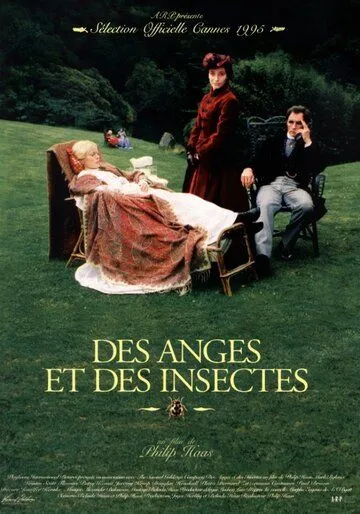 Постер: Ангелы и насекомые / Angels and Insects (1995)