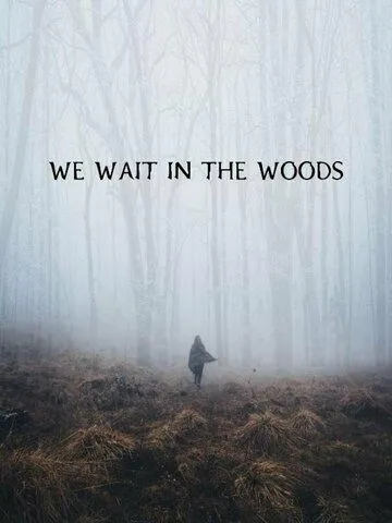 Постер: Мы поджидаем в лесу / We Wait in the Woods (2020)