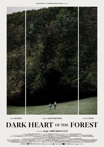 Постер: Темное сердце леса / Le coeur noir des forêts (2021)